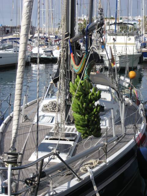 Click to see next photo