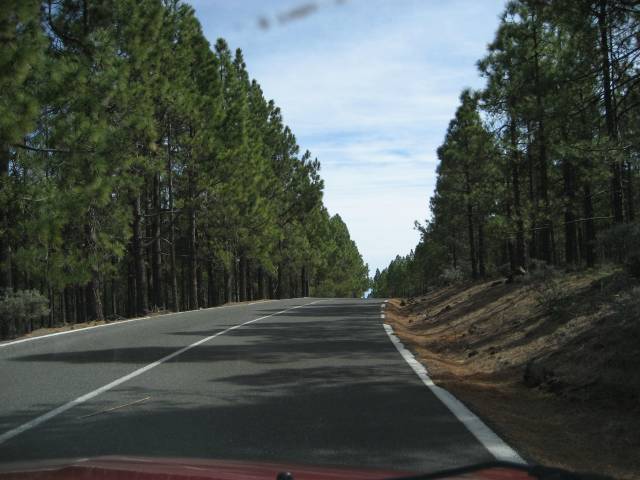 Click to see next photo