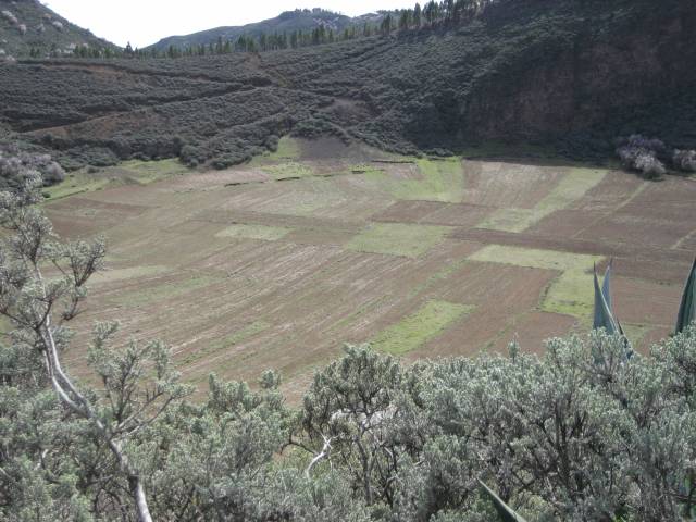 Click to see next photo