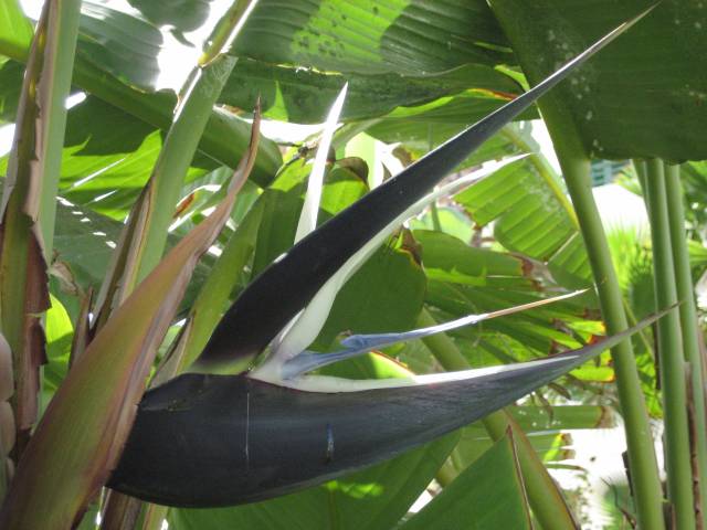 Click to see next photo