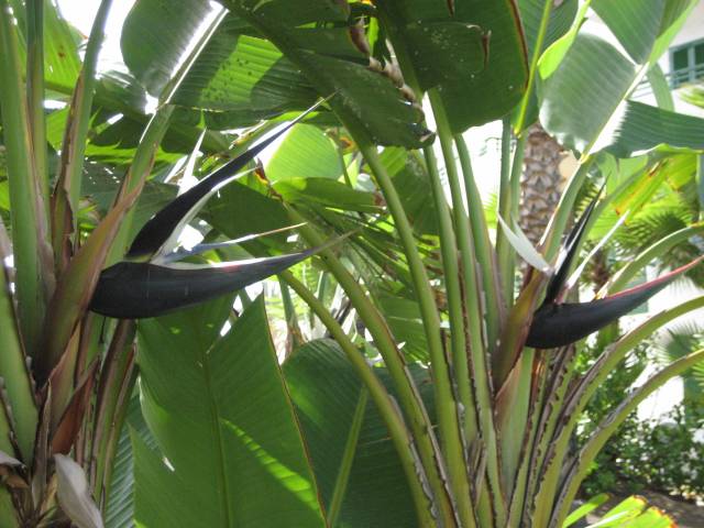 Click to see next photo