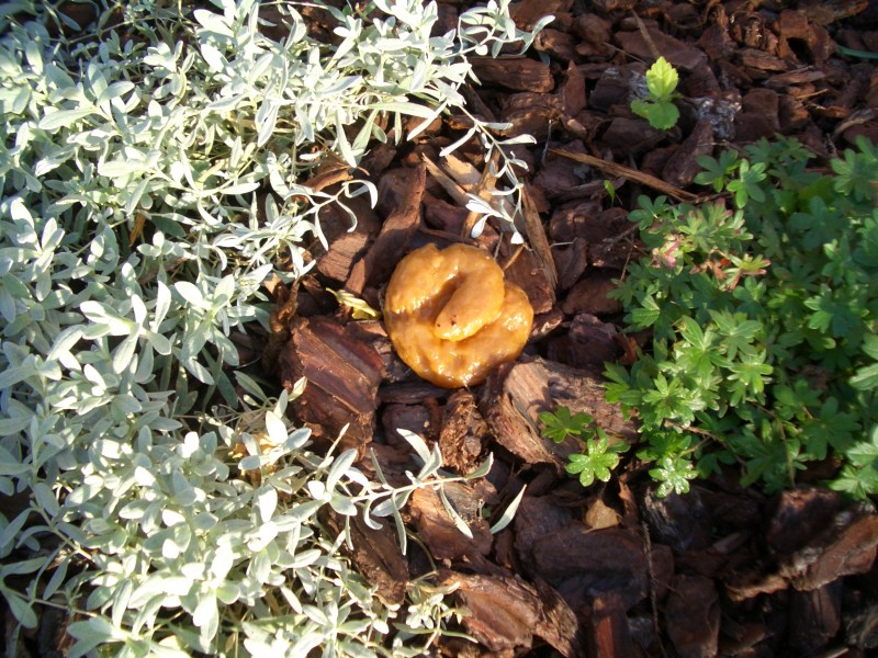 Click to see next photo